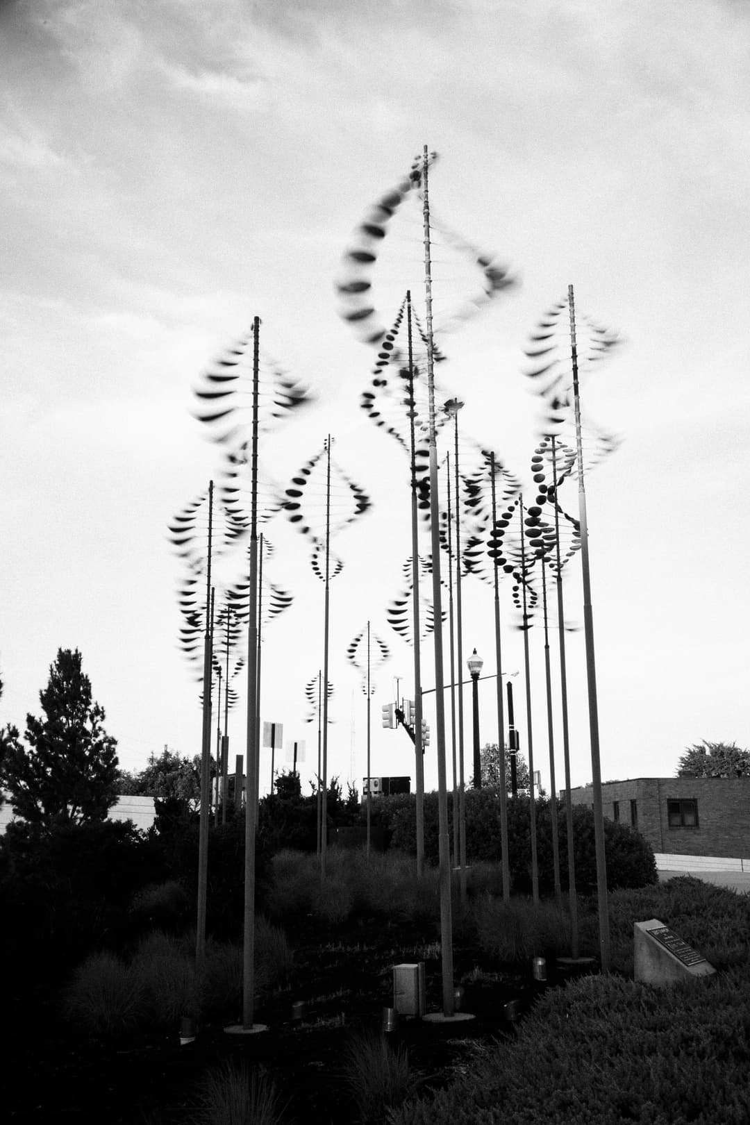 Black and white photo of wind turbines in a field, renewable energy landscape