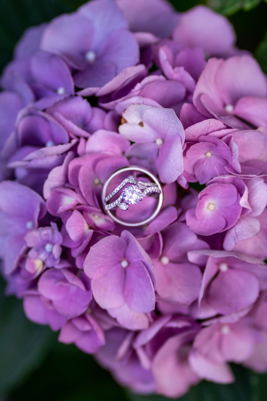 Wedding ring on a purple hydrangea flower, close-up wedding detail